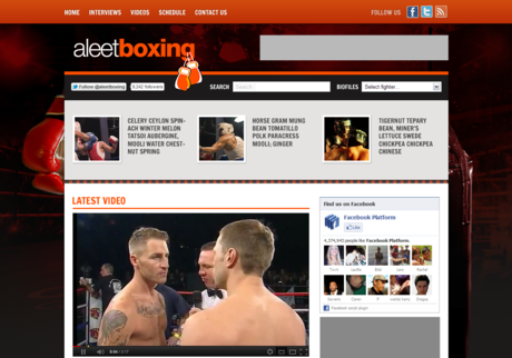 Aleet Boxing Large Screenshot